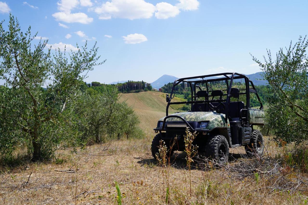 Agriturismo Il Sarale - Umbria Città di Castello Exterior foto